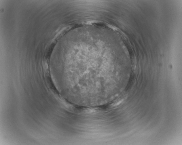 X0000078300523200611251512