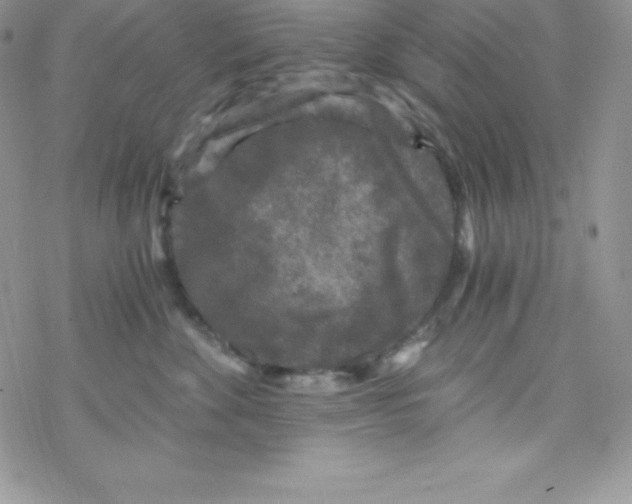 X0000078300524200611251511