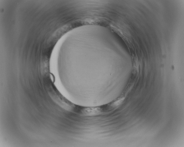 X0000078300526200611251511