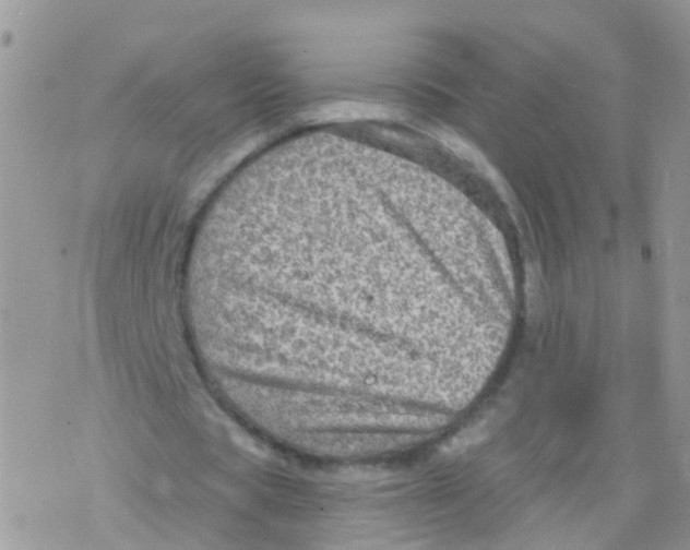 X0000078300529200611251511