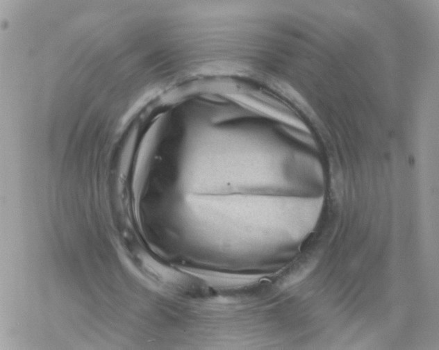 X0000078300530200611251511