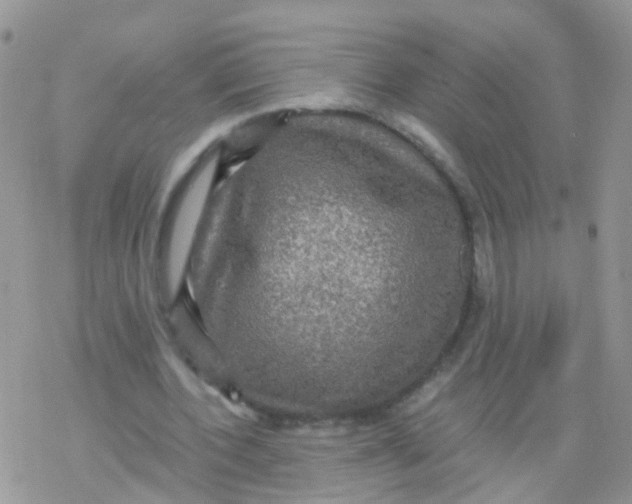 X0000078300532200611251511