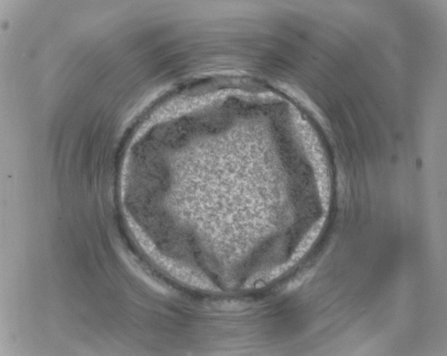 X0000078300533200611251511