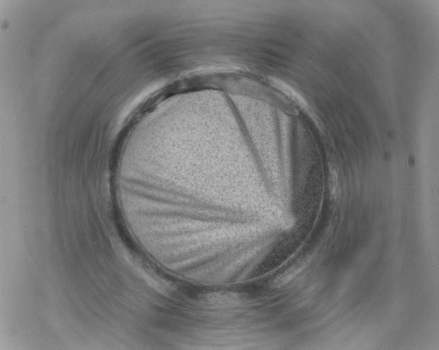 X0000078300535200611251511