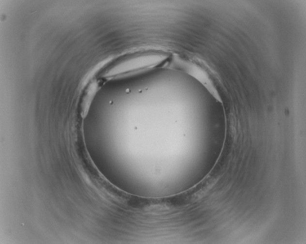 X0000078300536200611251511