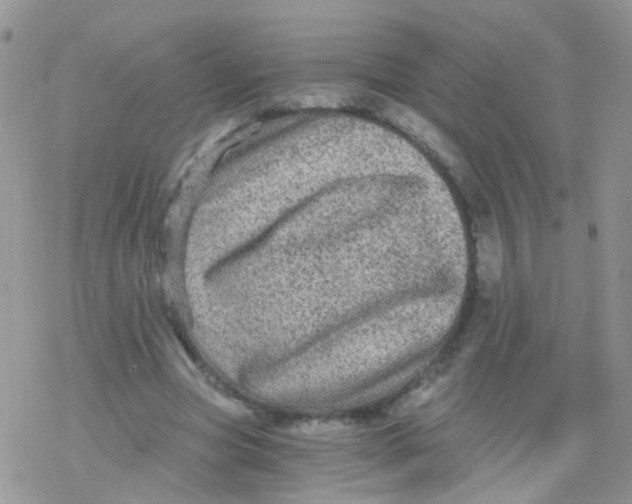 X0000078300537200611251511