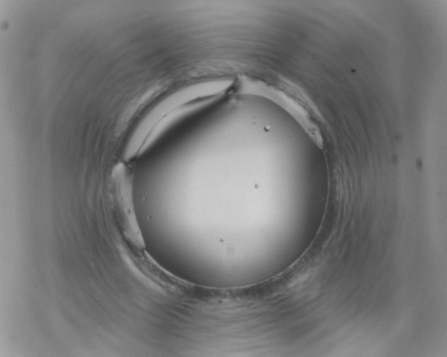 X0000078300538200611251511