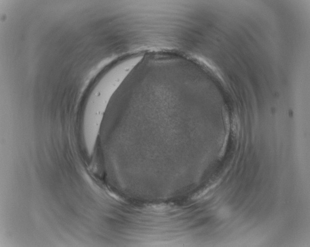 X0000078300540200611251511