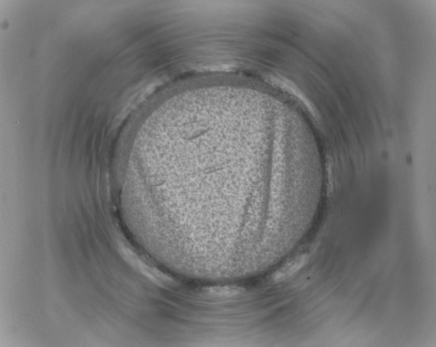 X0000078300541200611251511