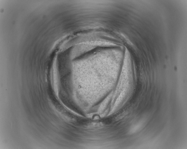 X0000078300543200611251511