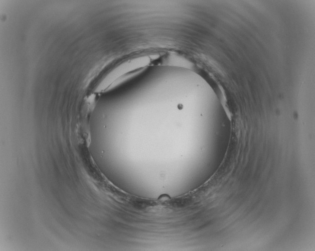 X0000078300544200611251511