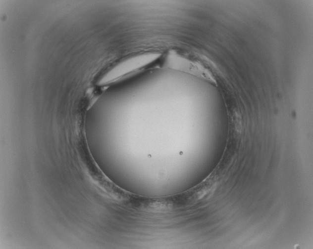 X0000078300546200611251511