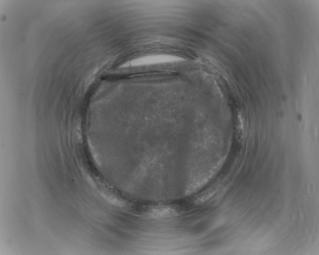 X0000078300547200611251511