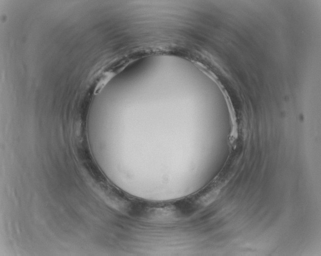 X0000078300548200611251511