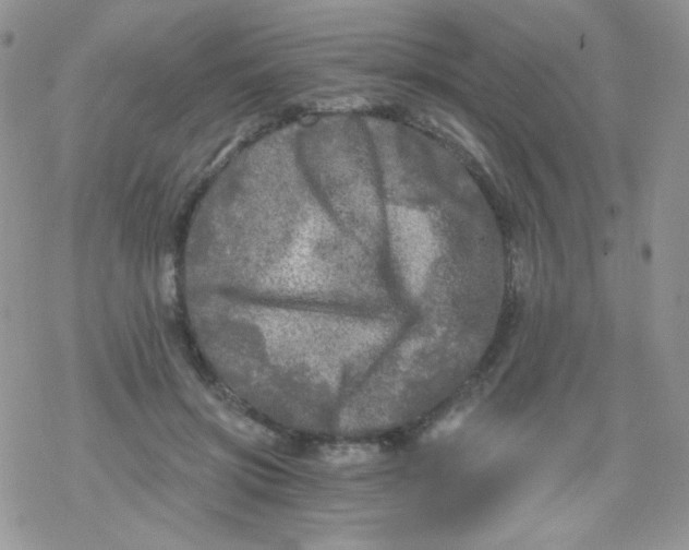 X0000078300549200611251511