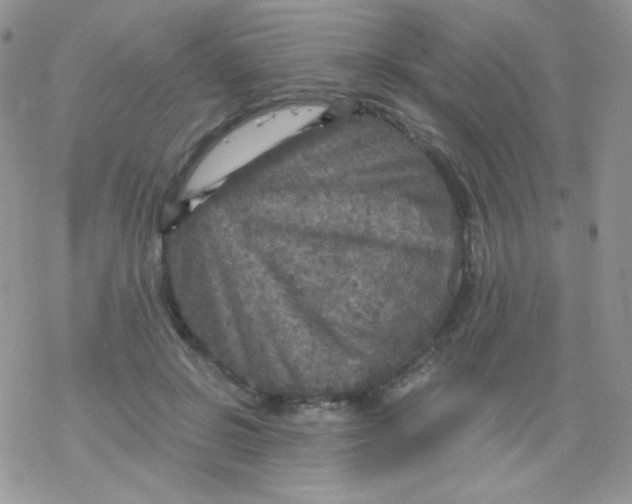 X0000078300550200611251511