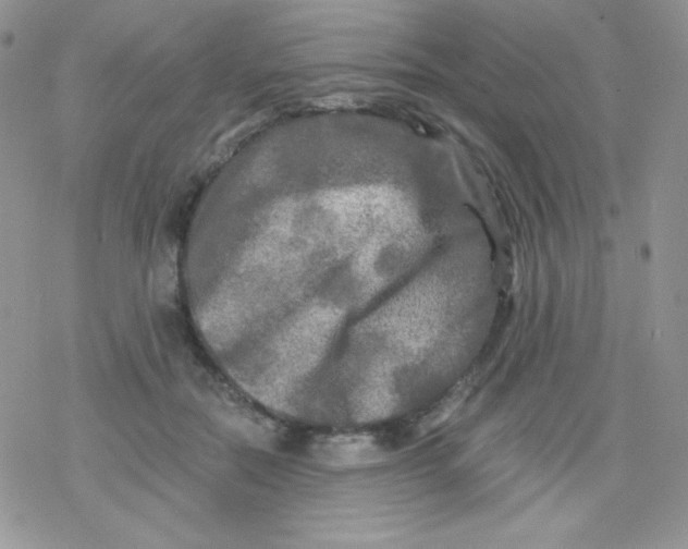 X0000078300554200611251511