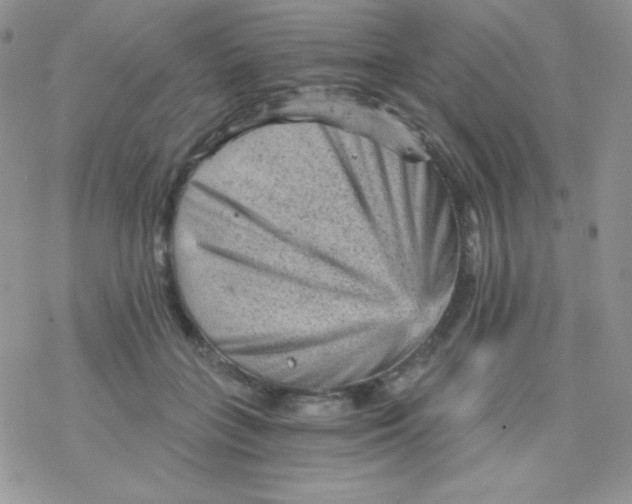 X0000078300555200611251511