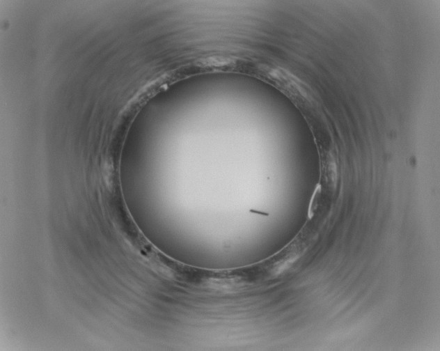 X0000078300556200611251511