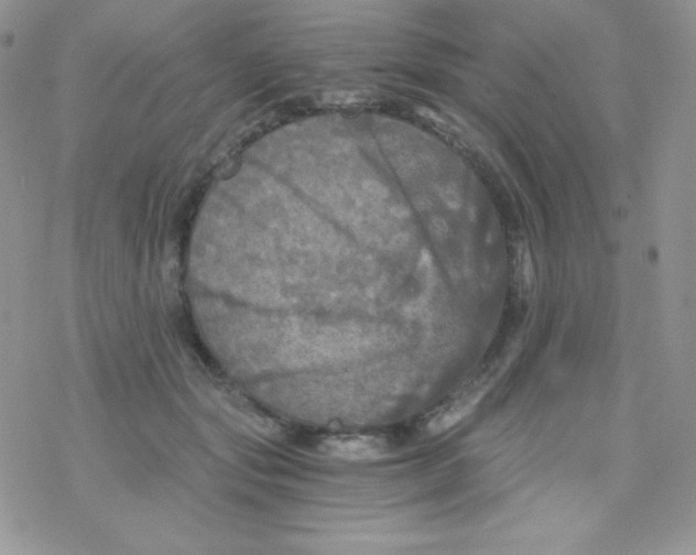 X0000078300557200611251511