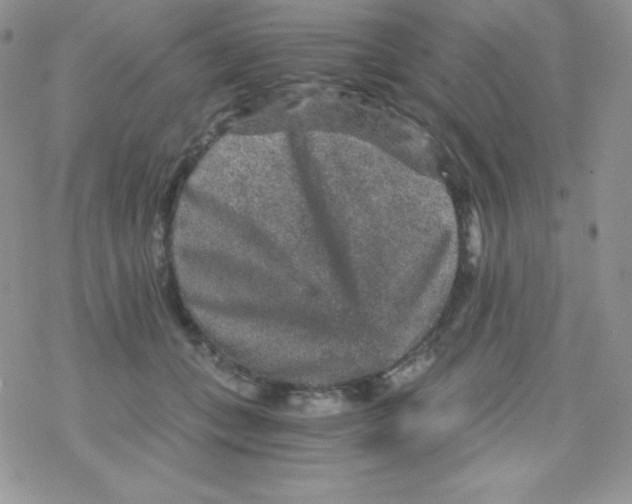 X0000078300559200611251511