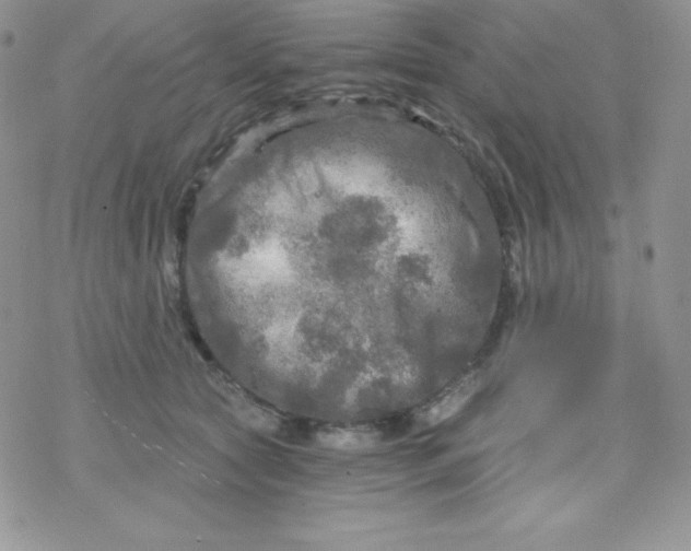 X0000078300561200611251511