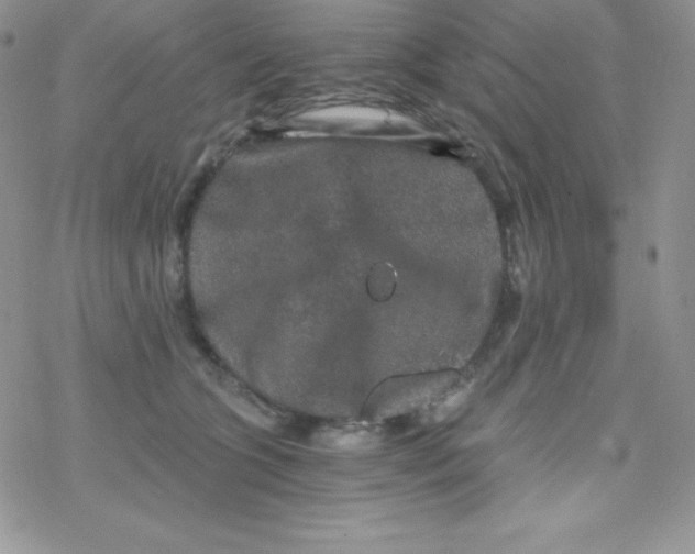 X0000078300563200611251511