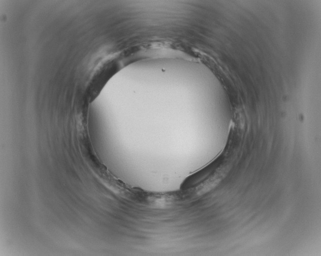 X0000078300564200611251511