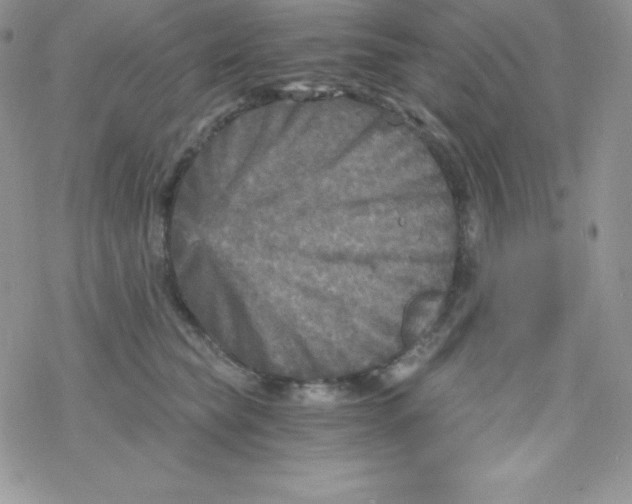 X0000078300565200611251511