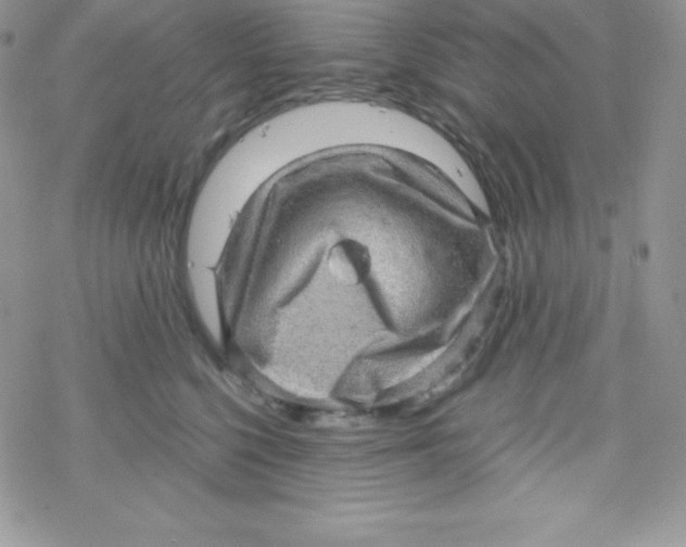 X0000078300568200611251511