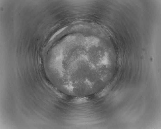 X0000078300569200611251511