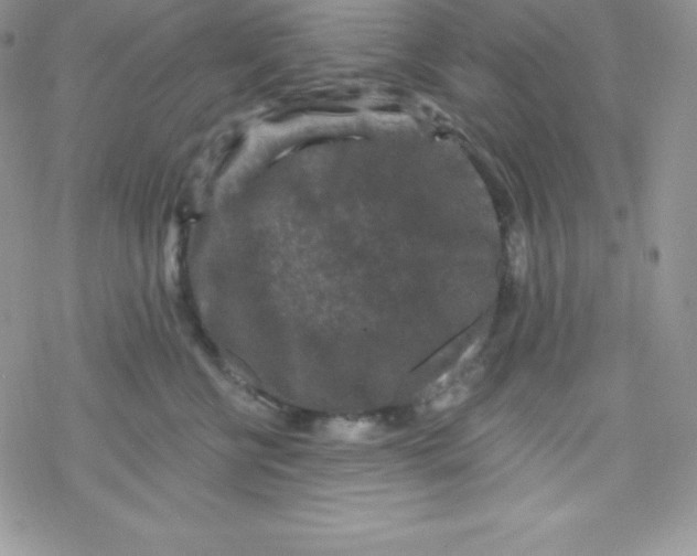 X0000078300570200611251511