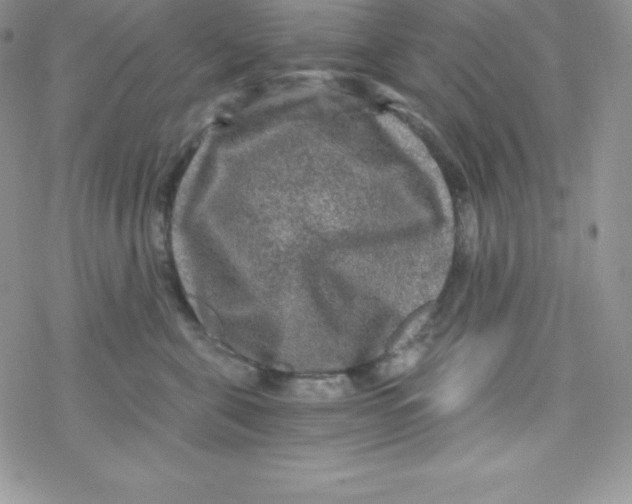 X0000078300571200611251511