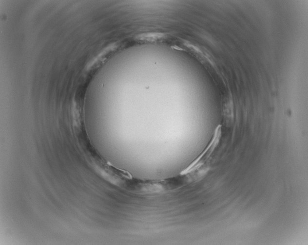 X0000078300572200611251511