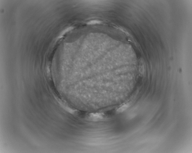 X0000078300573200611251511