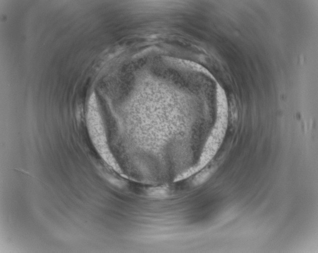 X0000078300574200611251511