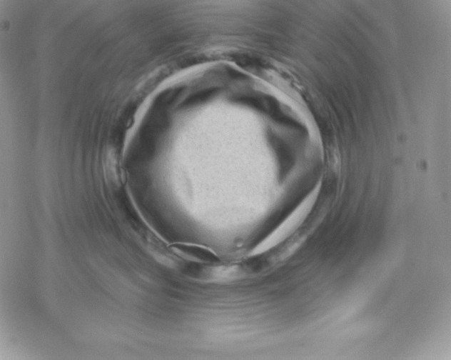 X0000078300575200611251511