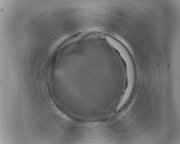 X0000078300577200611251511