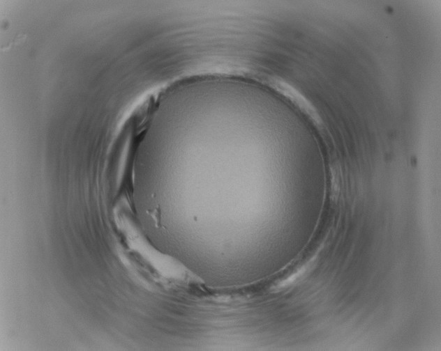 X0000078300580200611251511