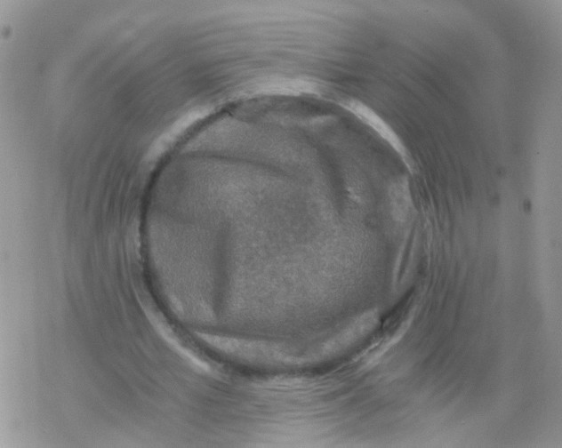 X0000078300581200611251511