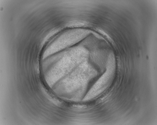 X0000078300582200611251511