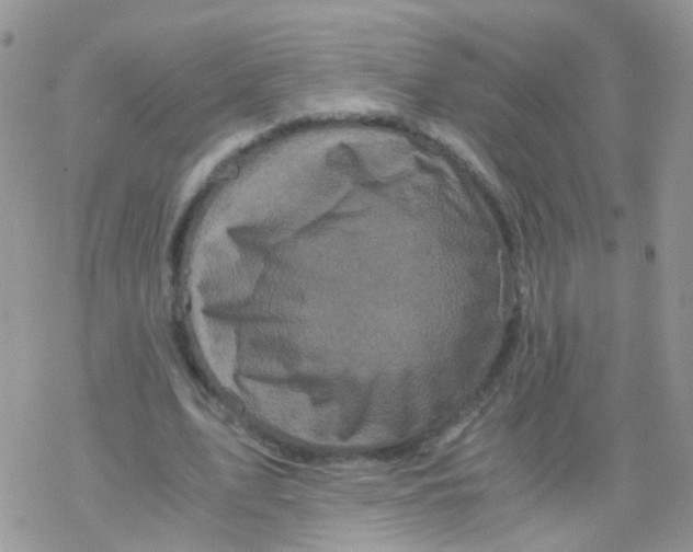 X0000078300583200611251511