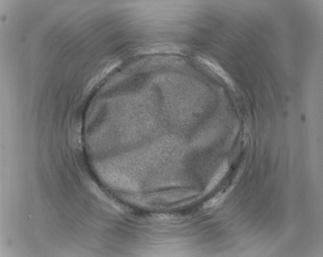 X0000078300585200611251511