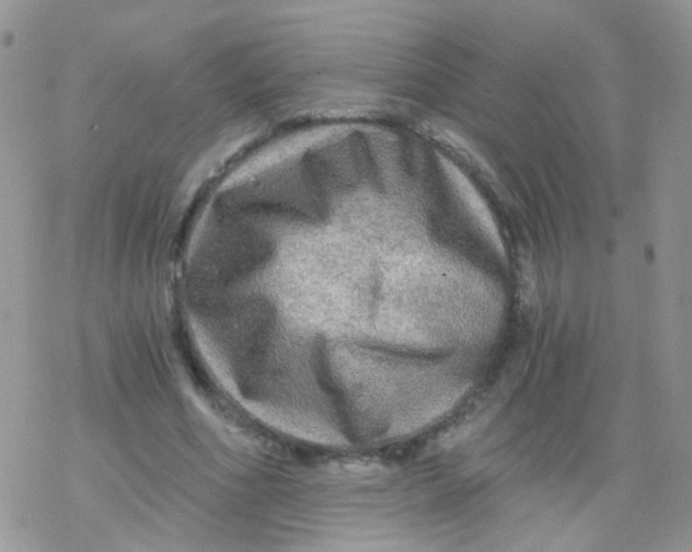 X0000078300586200611251510