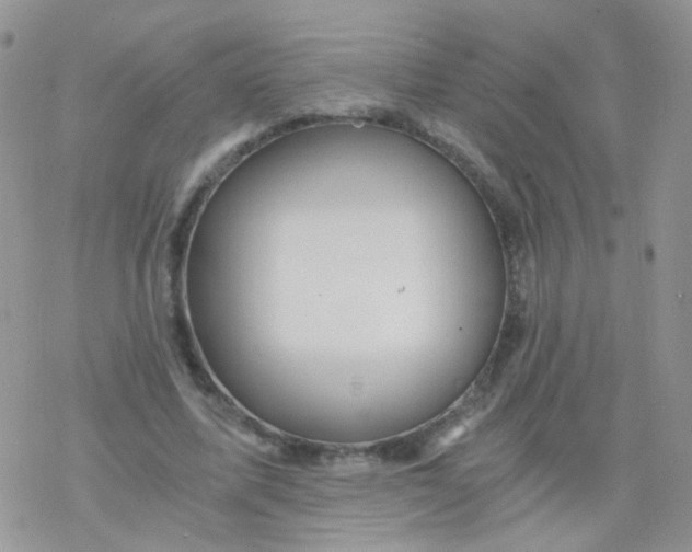 X0000078300587200611251510