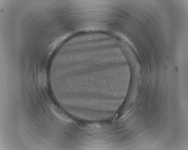 X0000078300588200611251510