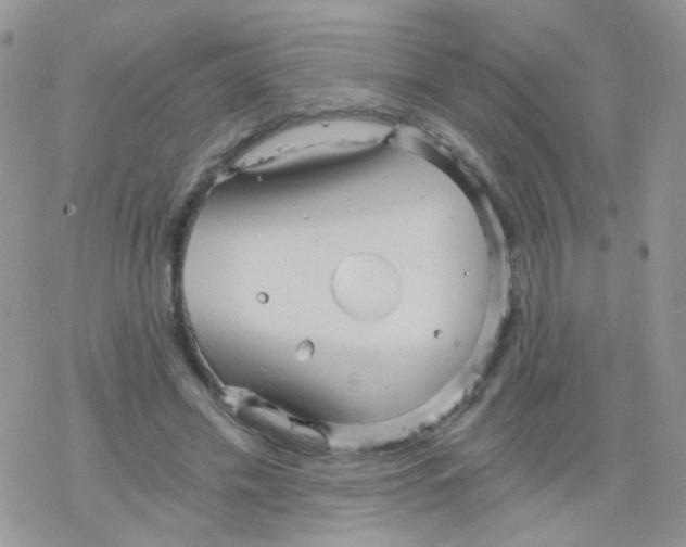 X0000078300589200611251510