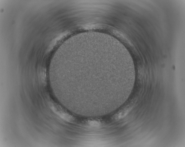 X0000078300592200611251510