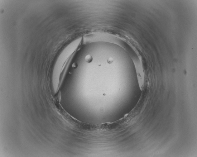 X0000078300593200611251510