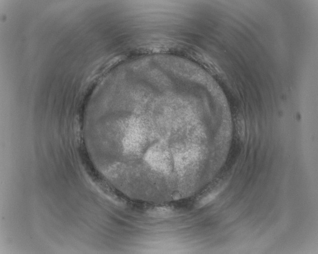 X0000078300594200611251510